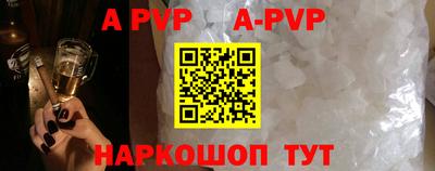 шишки Гатчина