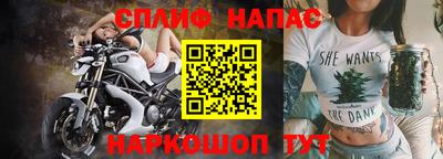 шишки Гатчина