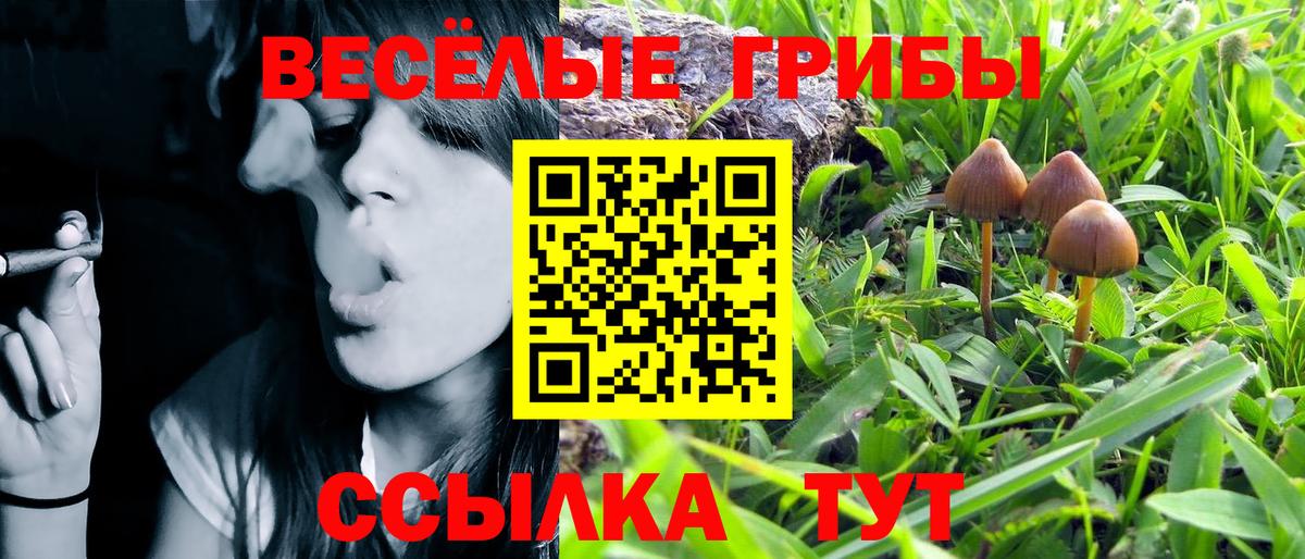 Псилоцибиновые грибы Psilocybine cubensis  Вход с VPN  Моздок 