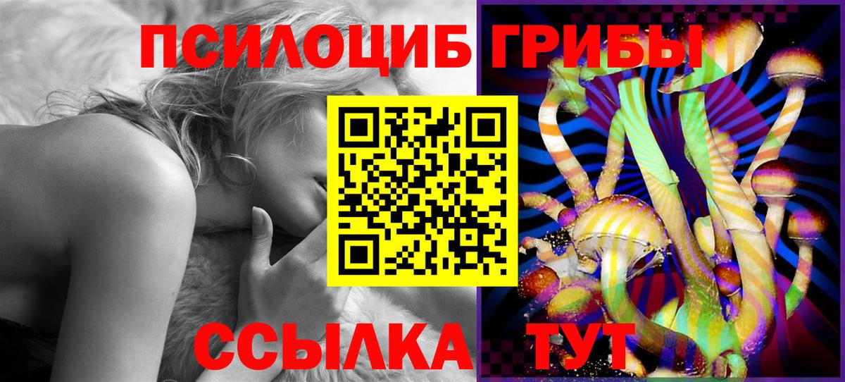 Галлюциногенные грибы MAGIC MUSHROOMS Моздок