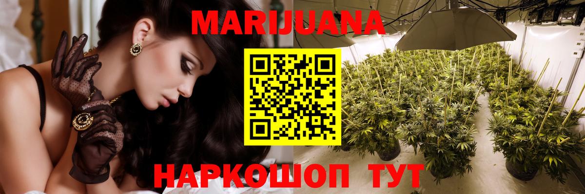Каннабис OG Kush Моздок