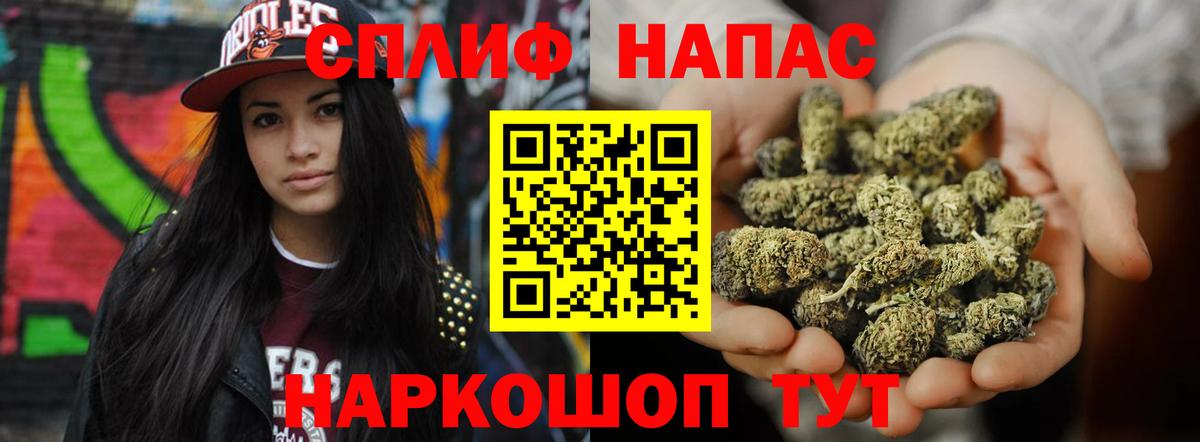 Моздок  Бошки Шишки гибрид  Марихуана сатива  Вход с VPN  Конопля VHQ 